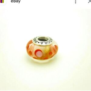 Pandora Retired Charm